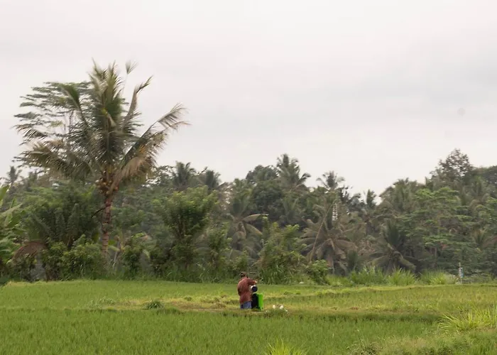Puri Lumbung Village Payangan