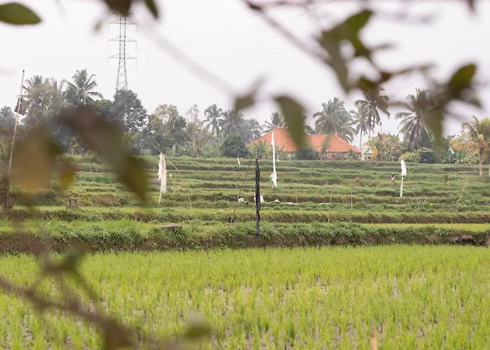 Puri Lumbung Village Payangan