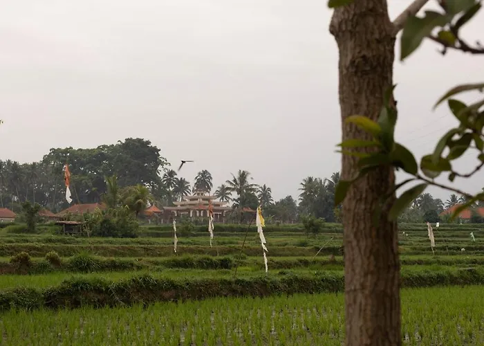Puri Lumbung Village 3* Payangan