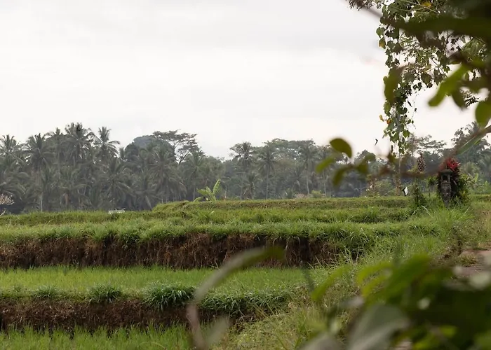 Puri Lumbung Village Guest house 3*