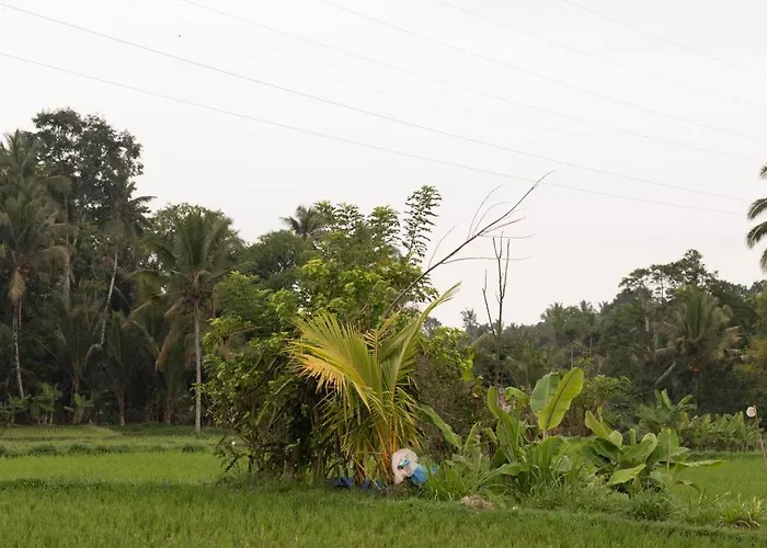 Puri Lumbung Village 3* Payangan