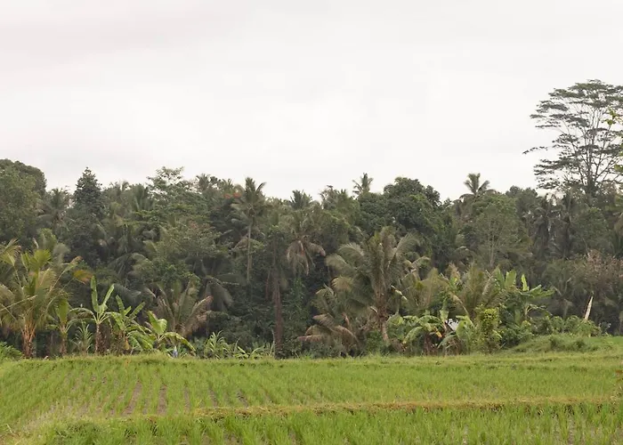 Puri Lumbung Village Payangan