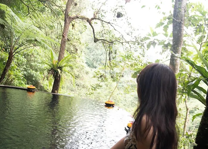 Puri Lumbung Village 3* Payangan