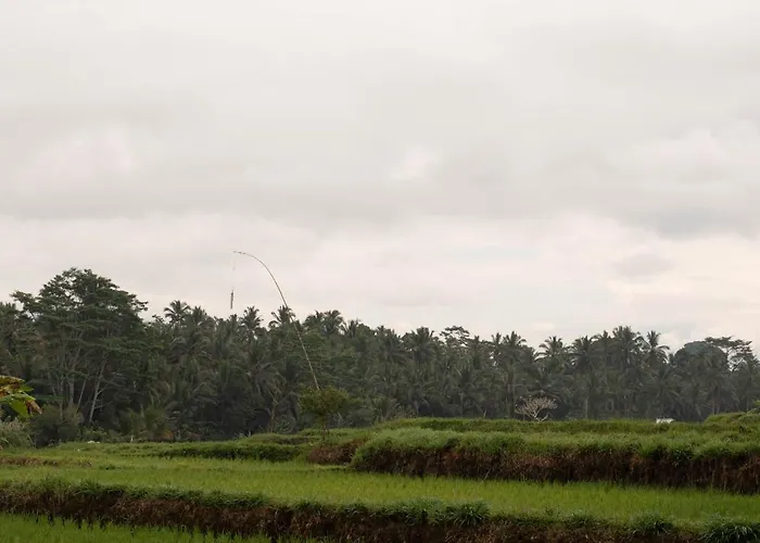 Puri Lumbung Village Guest house