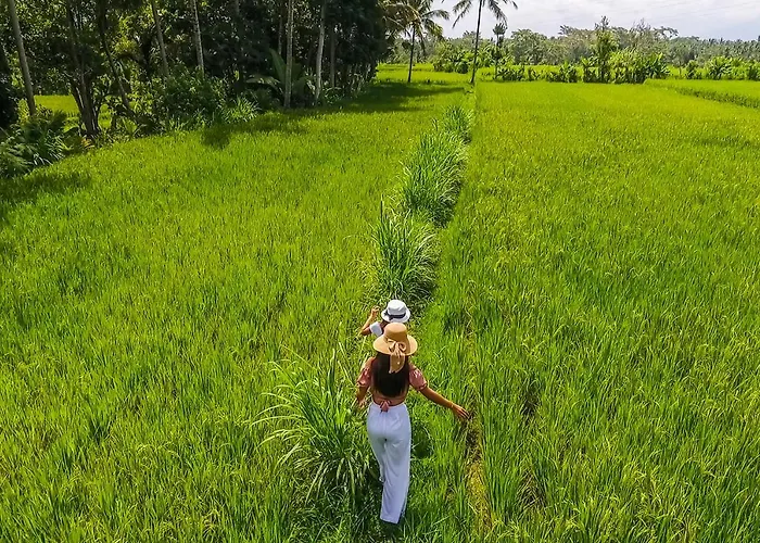 Puri Lumbung Village